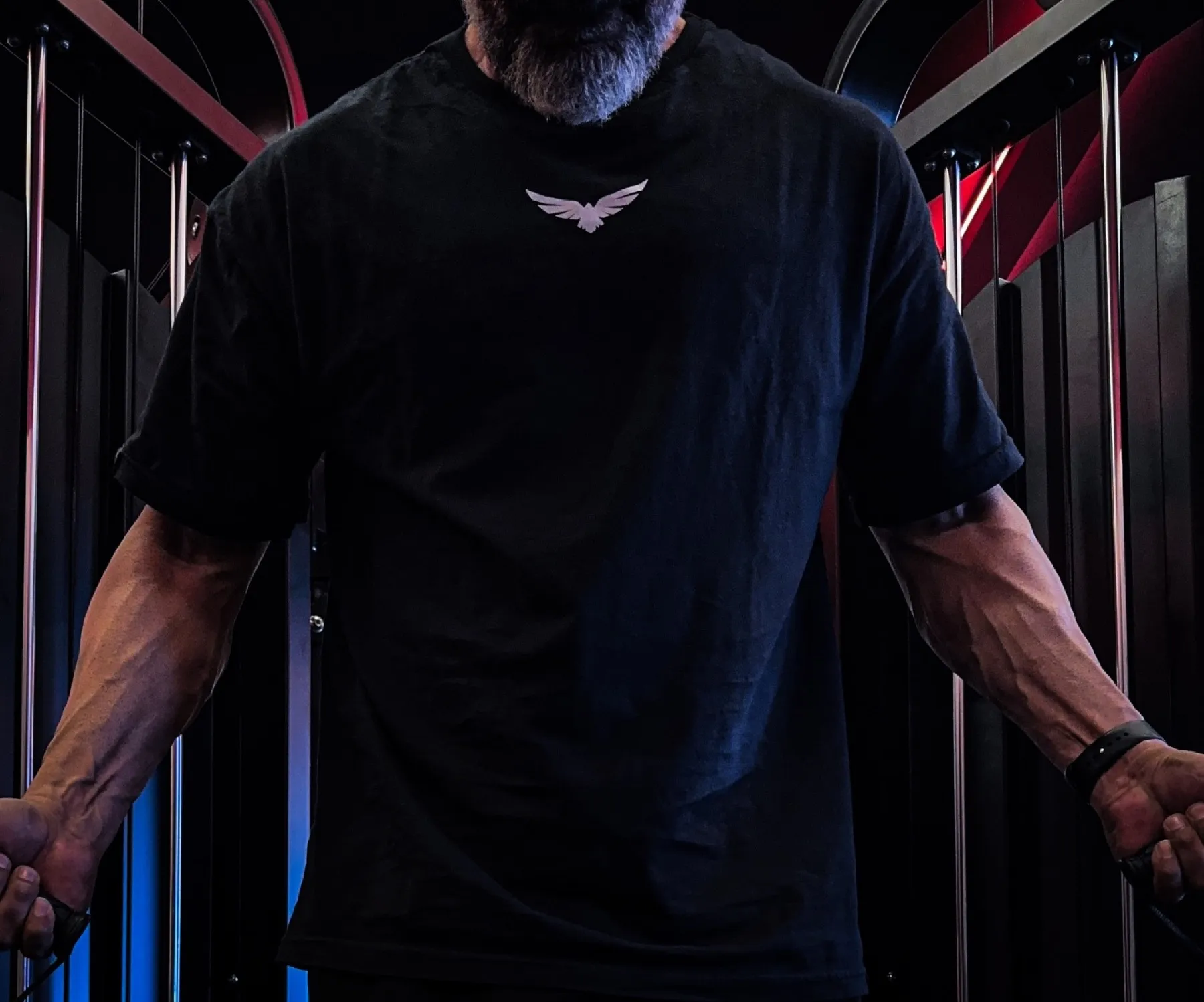 Camiseta CROW Wing
